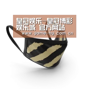成人布口罩